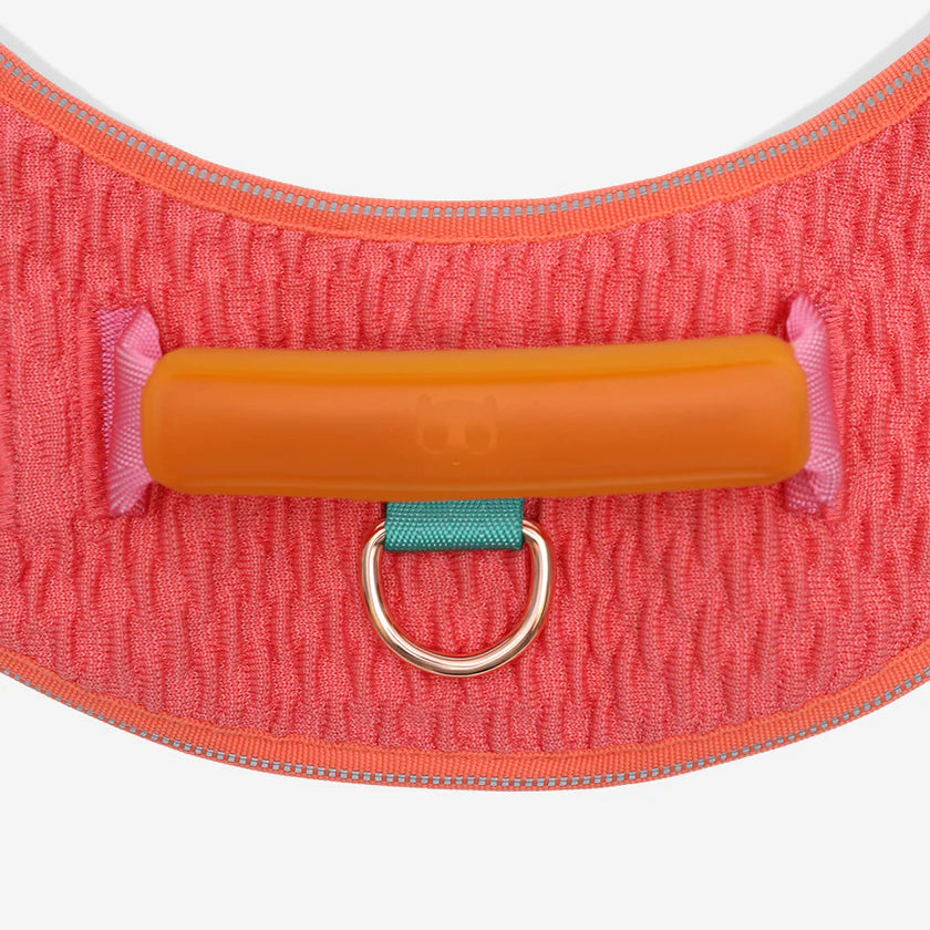 Zeedog - Perros - Zeedog - Perros Pechera Fly Harness - Gazzelle