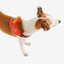 Zeedog - Perros - Zeedog - Perros Pechera Fly Harness - Gazzelle