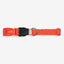 Zeedog - Perros - Collar - Grid
