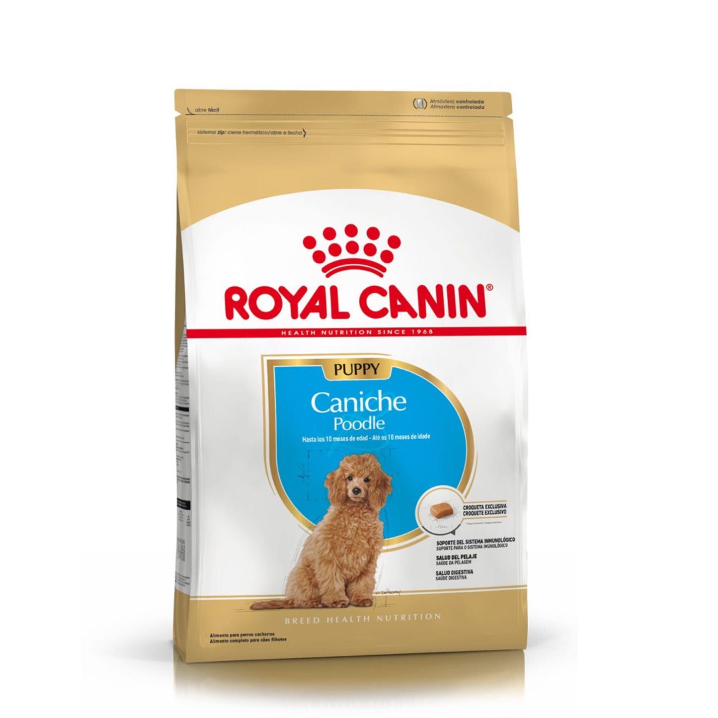 Royal Canin - Perros Cachorros Mini Poodle (Caniche)