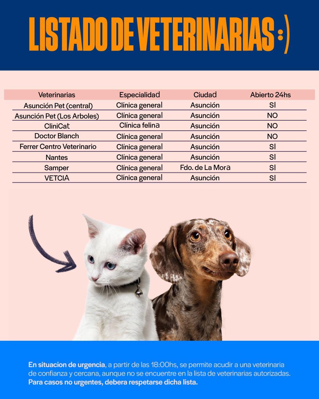 Categoría 2 C - Anual (Perro) - Weimaraner