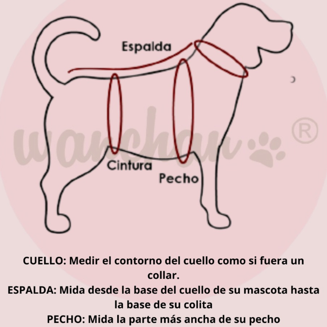 Wanchan - Remera Selección  - Bajo pedido