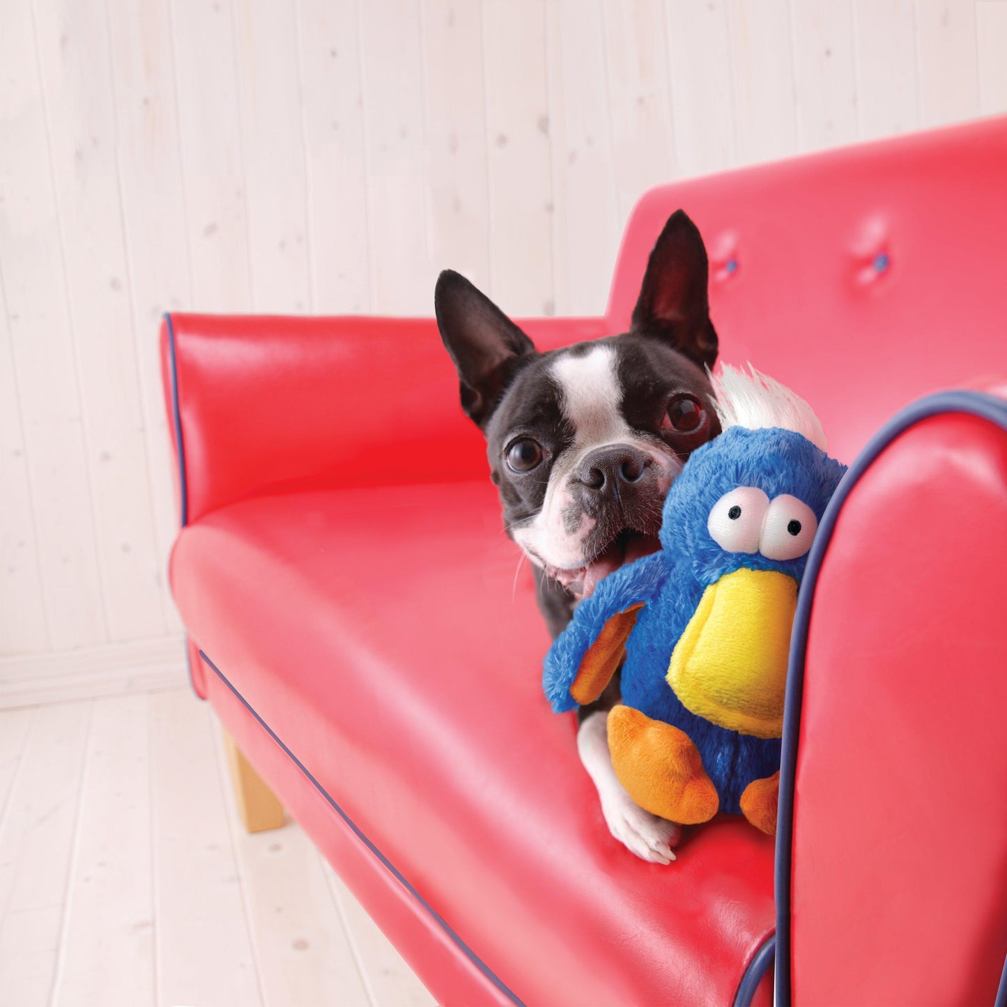 Kong - Perros Dodo Bird
