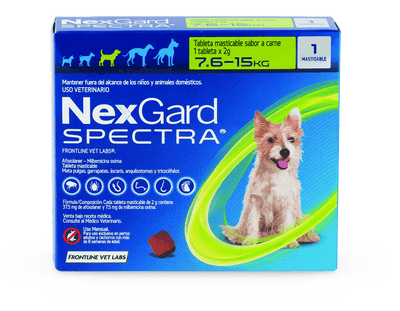 Protección completa para tu mascota con NexGard Spectra - 4Pets