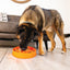 Kong - Perros Licks Mealtime