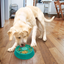 Kong - Perros Licks Spins
