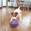Kong - Perros Licks Spins