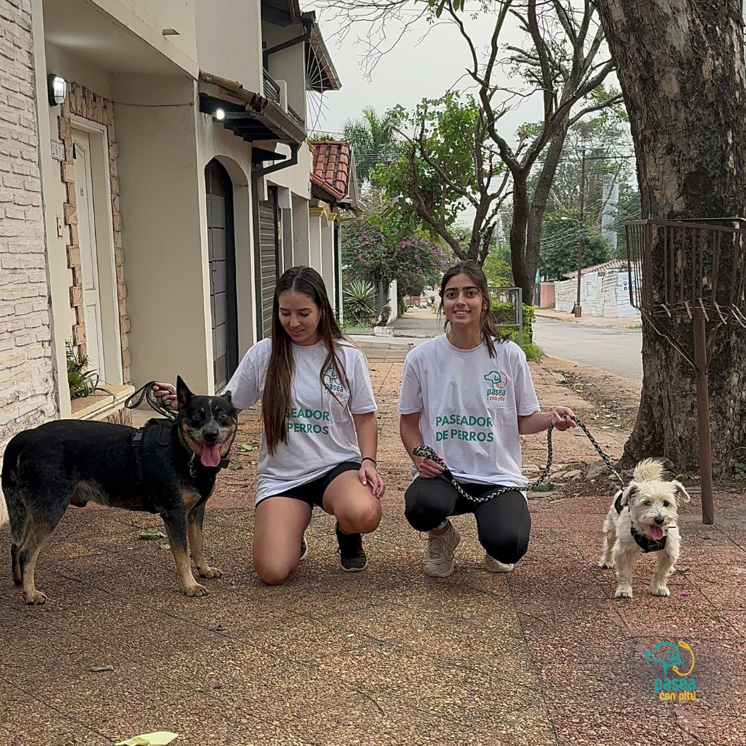 Pasea Con Pitu - Pet Sitter a Domicilio (Asunción, Lambaré, Luque y Fdo de la Mora). Visitas sobre agendamiento