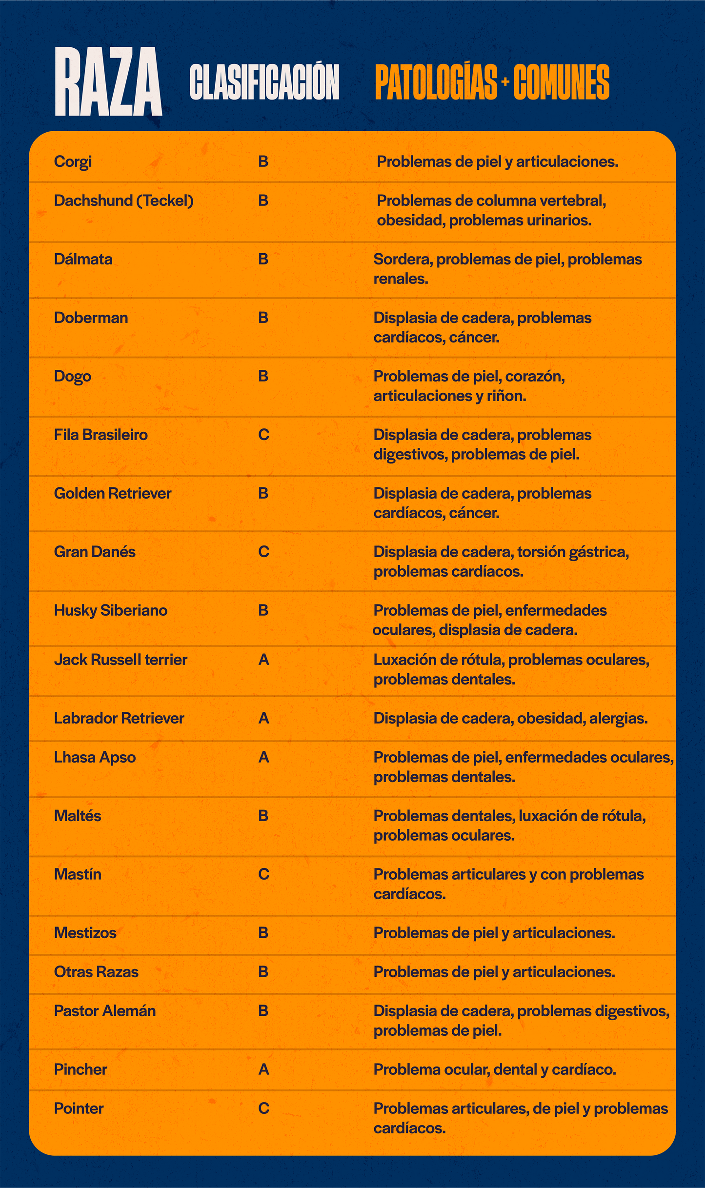 Categoría 2 B - Anual (Perro)