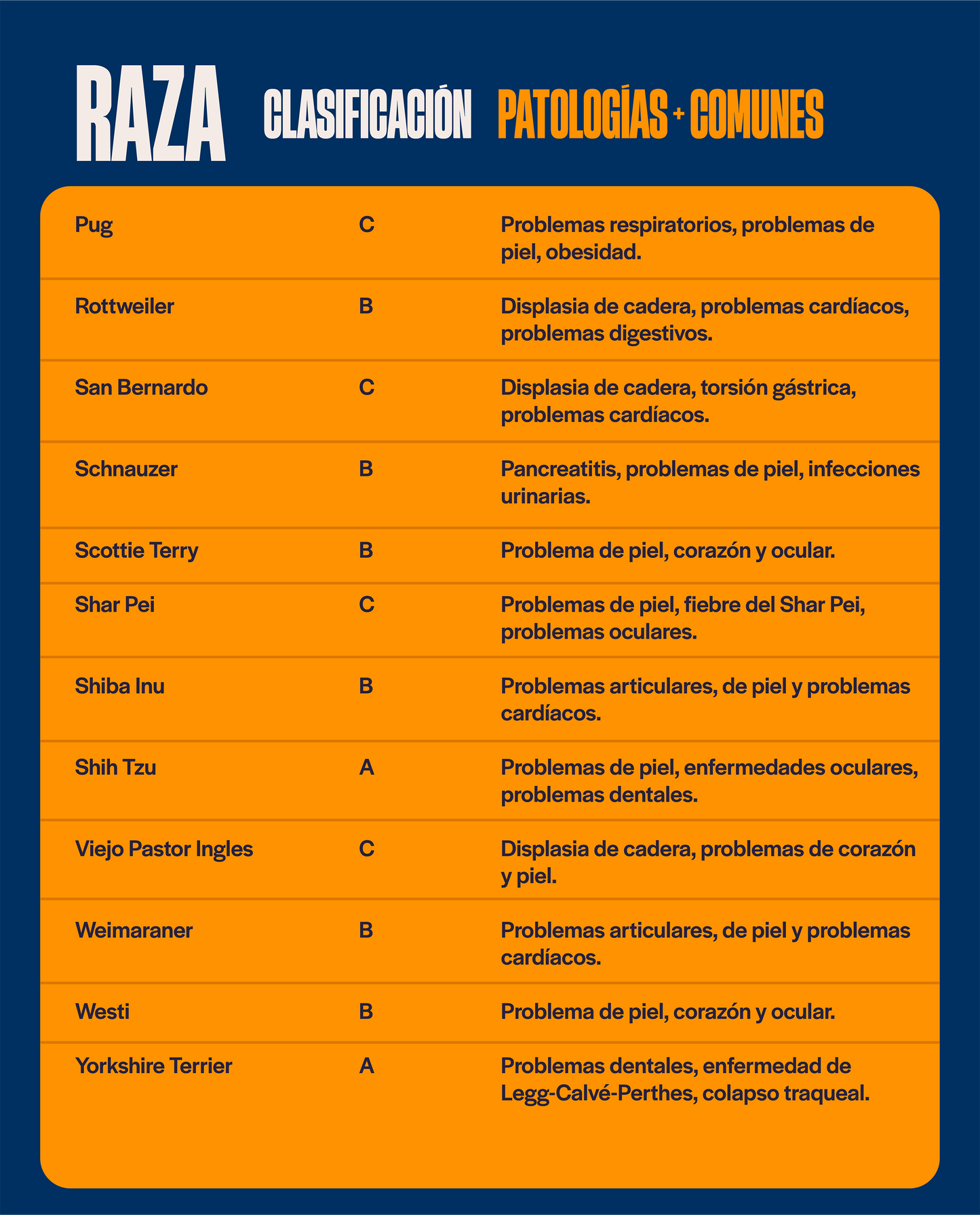 Categoría 2 B - Anual (Perro)