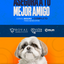 Categoría 3 A - Anual (Perro)