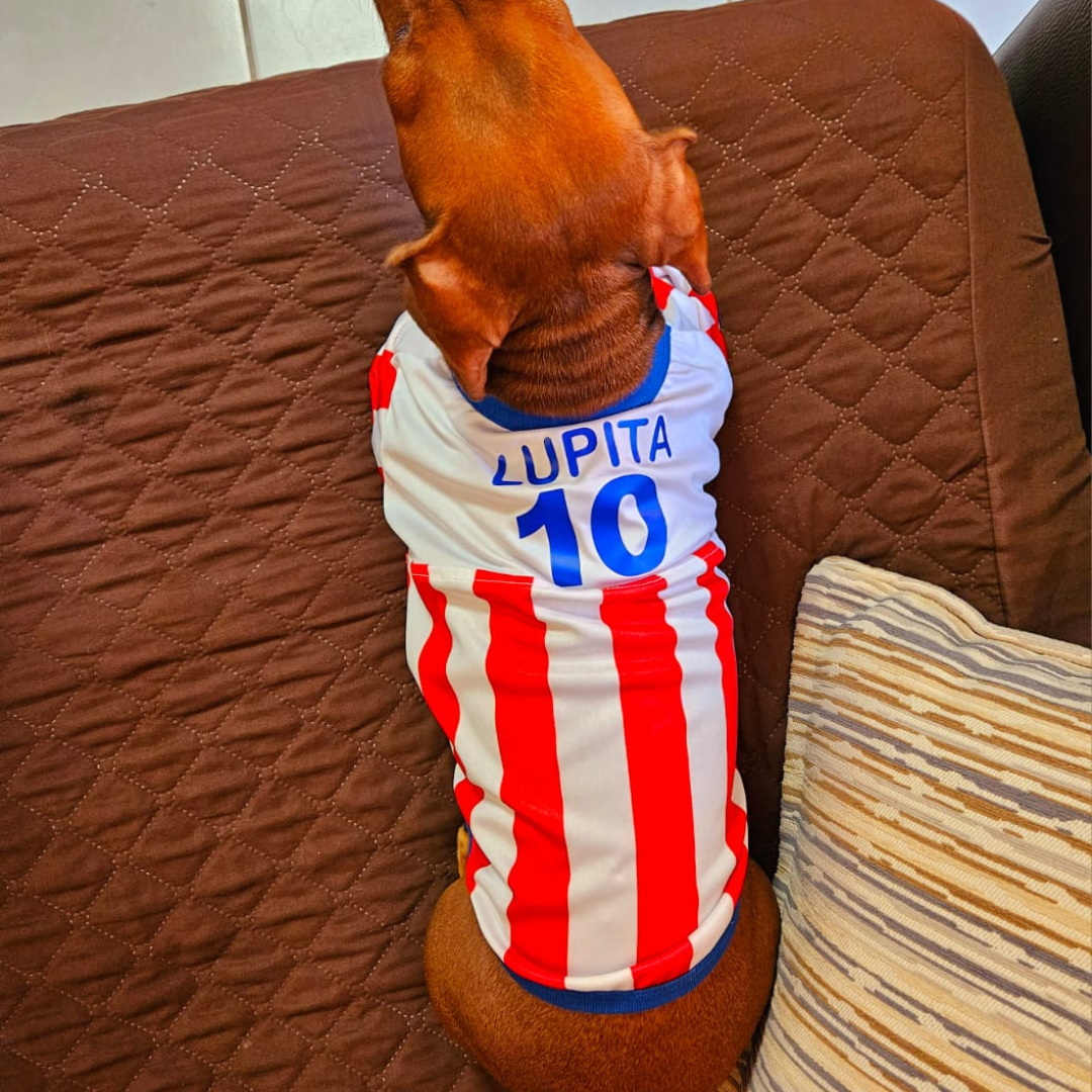 Wanchan - Remera Selección  - Bajo pedido