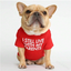 Ropa para Perros | Moda y Comodidad en 4Pets