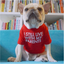 Ropa para Perros | Moda y Comodidad en 4Pets