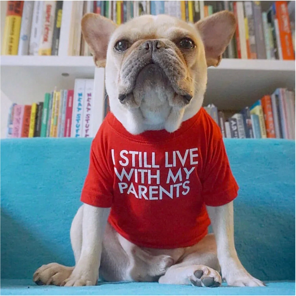 Ropa para Perros | Moda y Comodidad en 4Pets