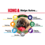 Kong - Perros Adultos Classic