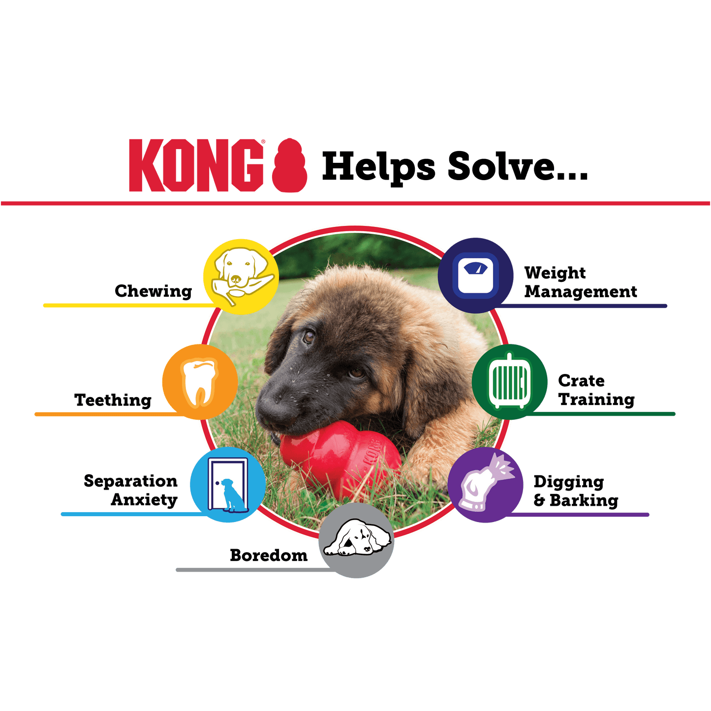 Kong - Perros Adultos Classic