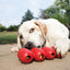 Kong - Perros Goodie Ribbon