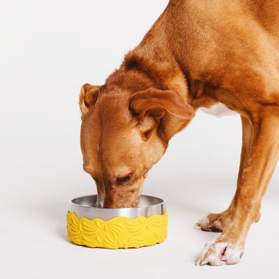 Zeedog - Farm - Tuff Bowl - Bossa Banana