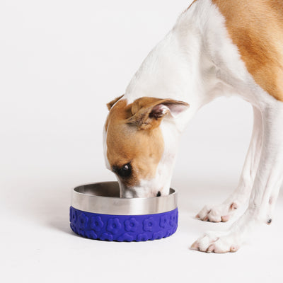 Zeedog - Farm - Tuff Bowl - Samba