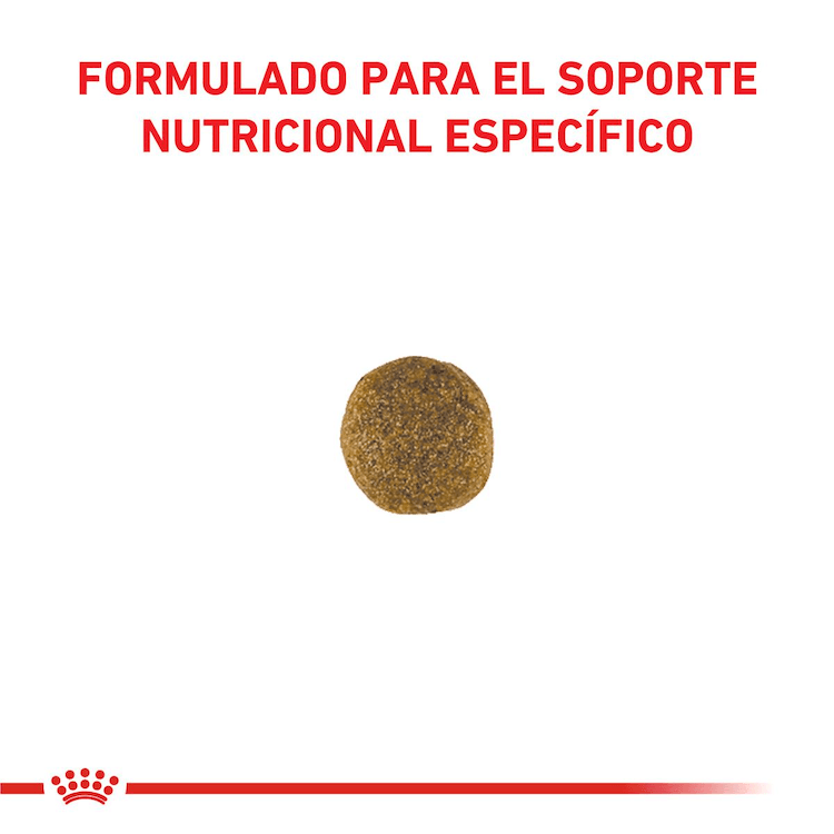 Royal Canin - Perros Adultos - Cuidado Cardiaco