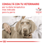Royal Canin - Perros Adultos - Cuidado Cardiaco