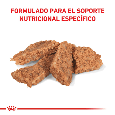 Royal Canin - Perros Adultos Cuidado Gastrointestinal - Lata
