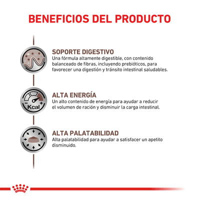 Royal Canin - Perros Adultos - Gastrointestinal