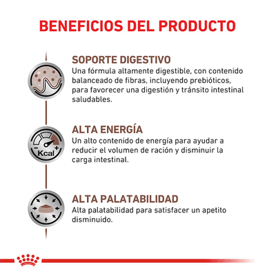 Royal Canin - Gatos Adultos - Gastrointestinal - Pouch