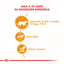 Royal Canin - Gatos Adultos Intense Beauty - Pouch