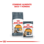 Royal Canin - Gatos Adultos Intense Beauty - Pouch