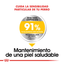 Royal Canin - Perros Adultos Grandes - Dermacomfort