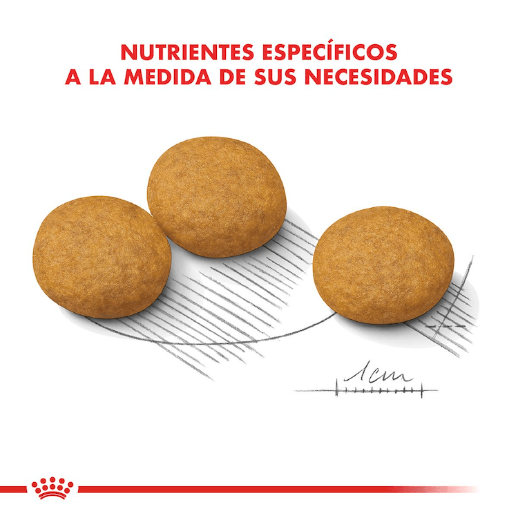 Royal Canin - Perros Adultos Grandes - Dermacomfort