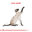 Royal Canin - Gatos Adultos Siamés