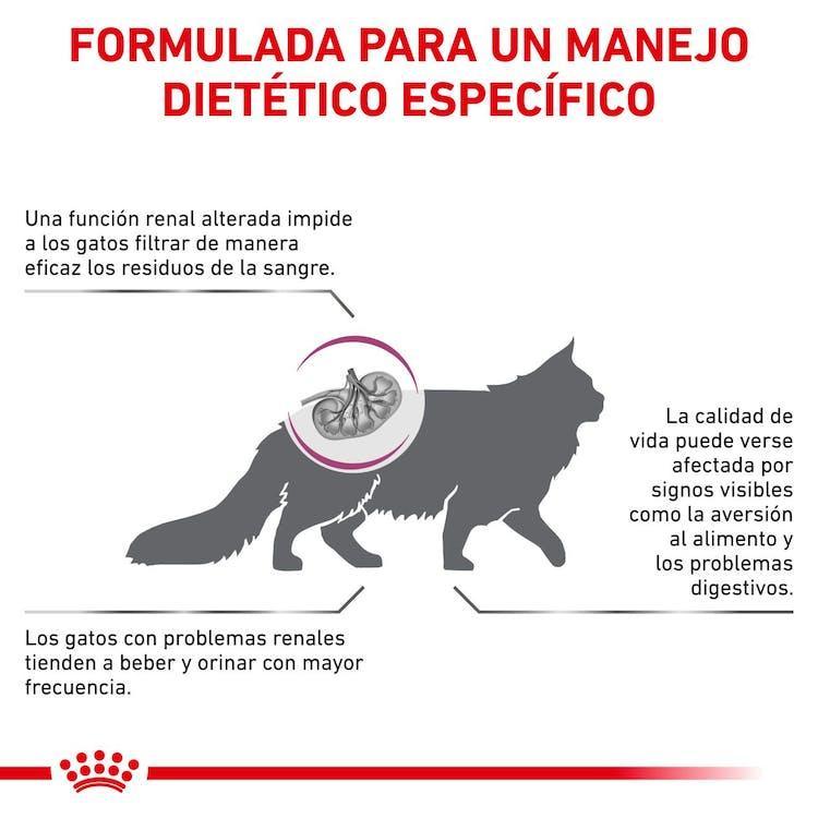 Royal Canin - Gatos Adultos - Cuidado Renal