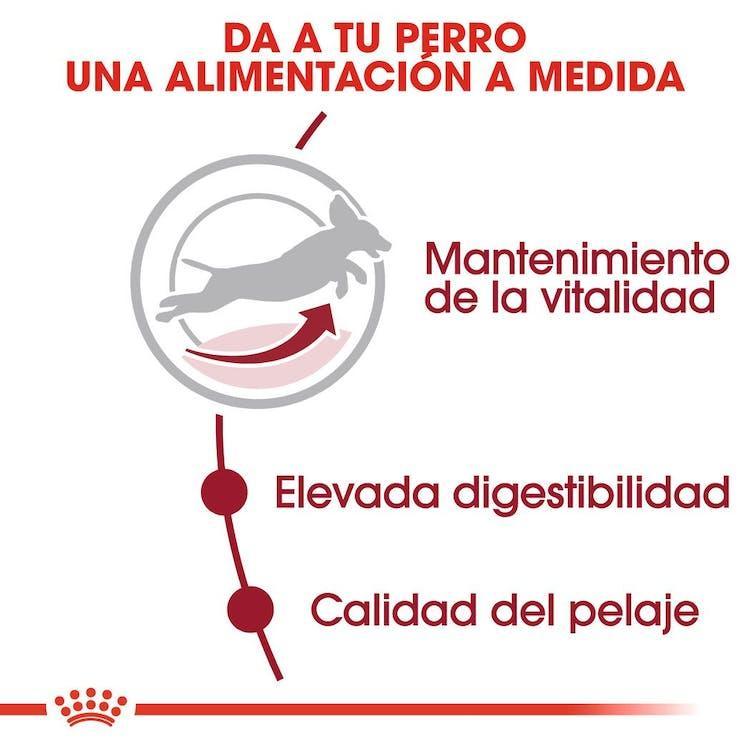 Royal Canin - Perros Adultos 7+ Medianos