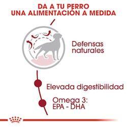 Royal Canin - Perros Adultos Medianos