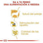 Royal Canin - Perros Adultos Yorkshire Paté
