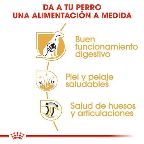 Royal Canin - Perros Adultos Pastor Alemán