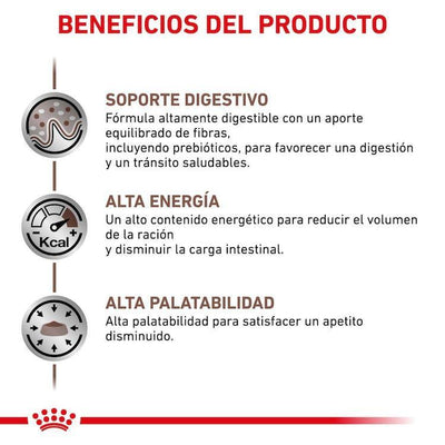 Royal Canin - Gatos Adultos - Gastrointestinal