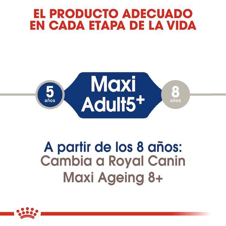 Royal Canin - Perros Adultos 5+ Grandes