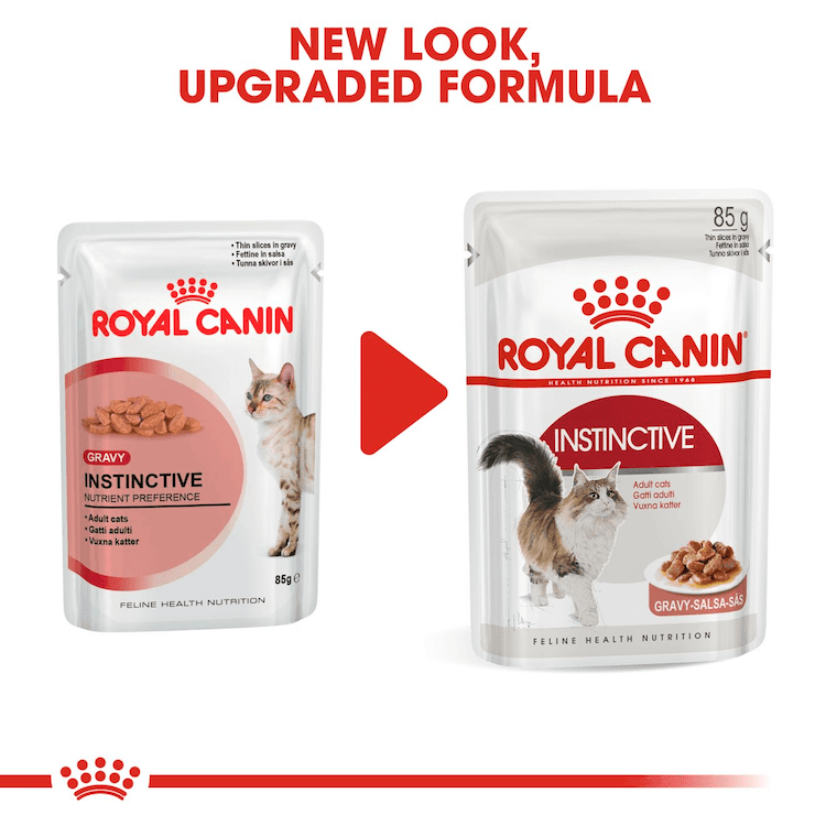 Royal Canin -  Gatos Adultos Instinctive - Pouch
