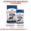 Royal Canin - Perros Adultos Grandes - Pouch