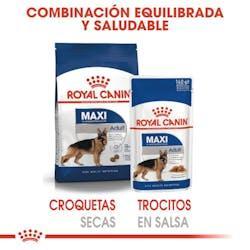 Royal Canin - Perros Adultos Grandes - Pouch