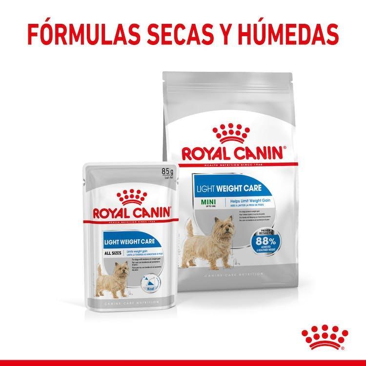 Royal Canin - Perros Adultos & Mini Light Weight Care