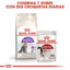 Royal Canin - Gatos Adultos - Sensibilidad Digestiva