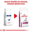 Royal Canin - Perros Adultos - Cuidado Renal