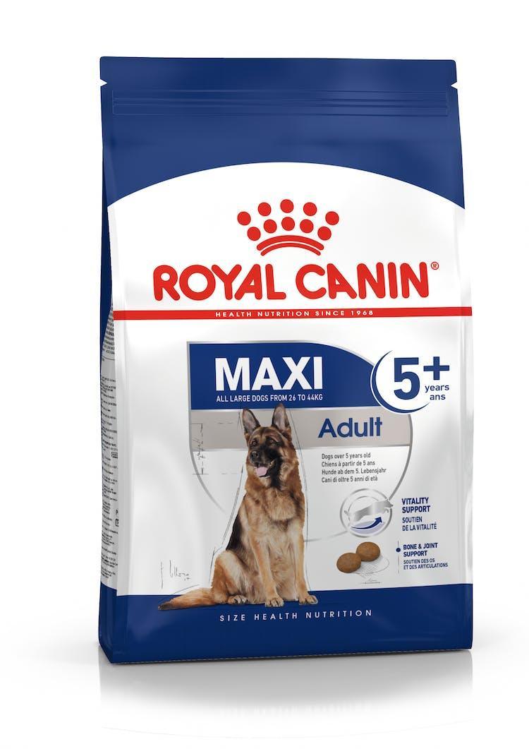 Royal Canin - Perros Adultos 5+ Grandes