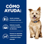Hill's - Perros K/D Cuidado Renal - Lata