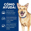 Hill's - Perros I/D Cuidado Digestivo - Lata